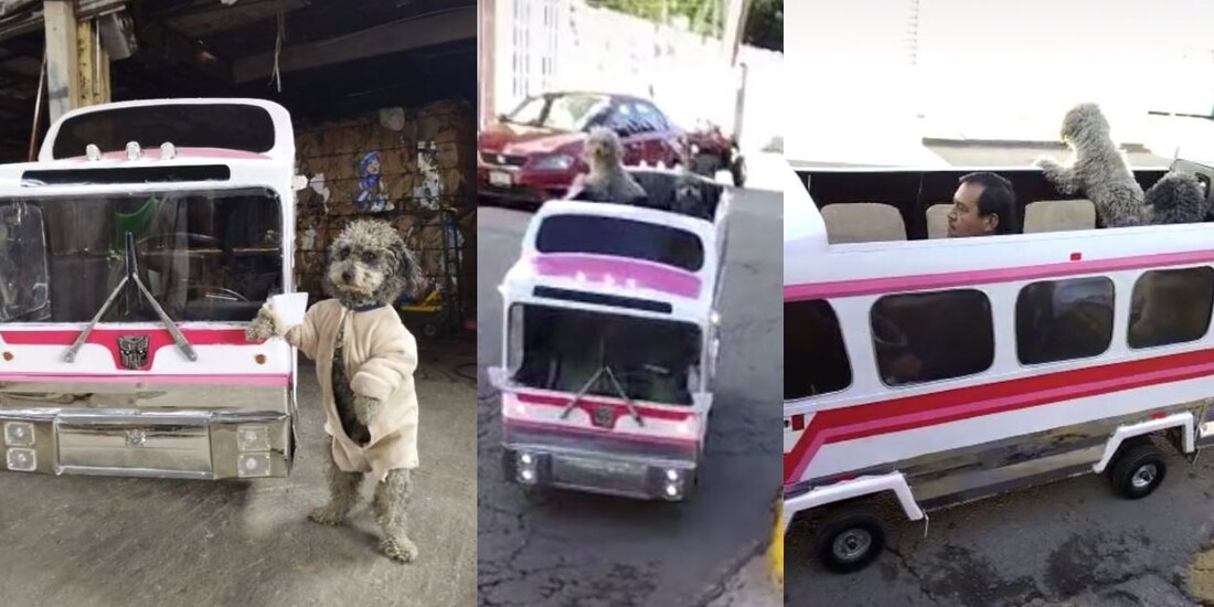 Un hombre crea el "perrobus" para pasear a sus perritos