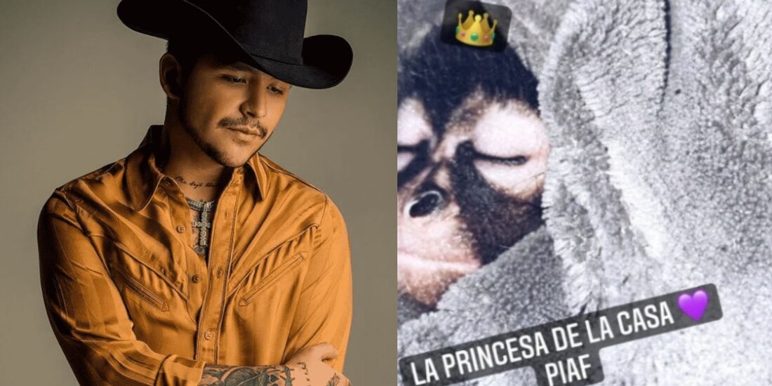 Christian Nodal presumió a su mono araña bebé en Instagram