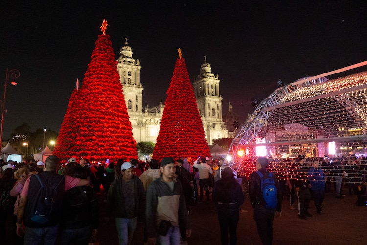 Árboles de Navidad monumentales instalados el 2024 en el Zócalo.