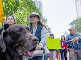 Animalistas durante la marcha en apoyo al refugio, ayer, en Reforma.