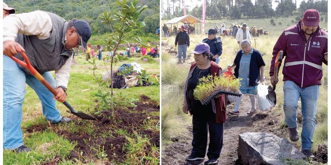 CIVILES Y AUTORIDADES participaron en la reforestación, ayer, en la ciudad