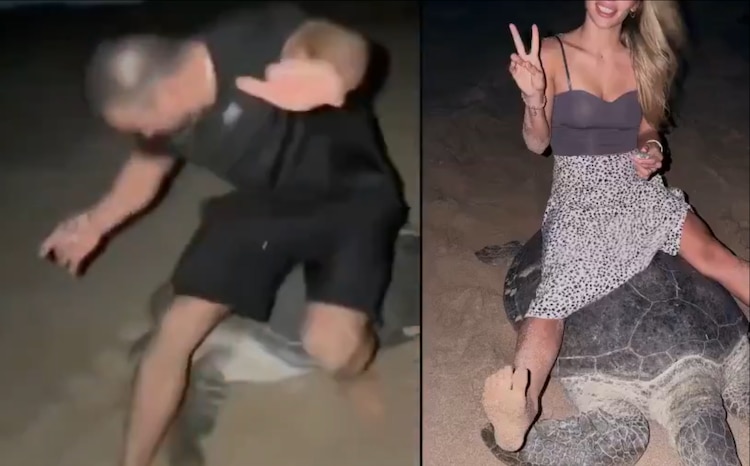 Vadym Oleynik se sentó en una tortuga y lo acusan de maltratar animales