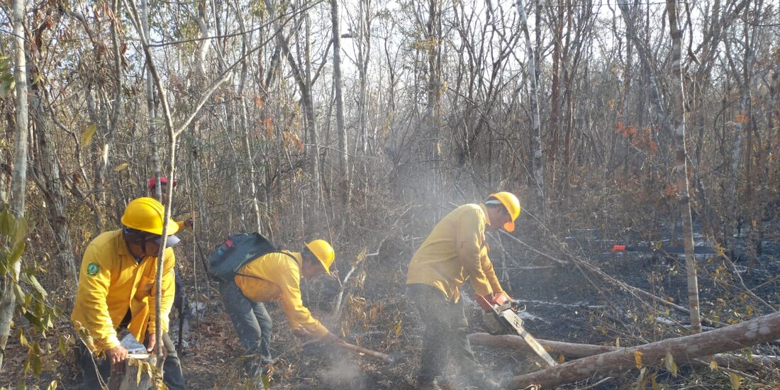 Incendios forestales en el país disminuyen 18%: Conafor