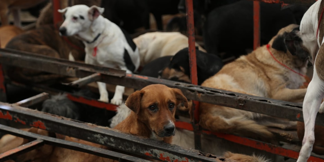 Refugio Franciscano de la CDMX