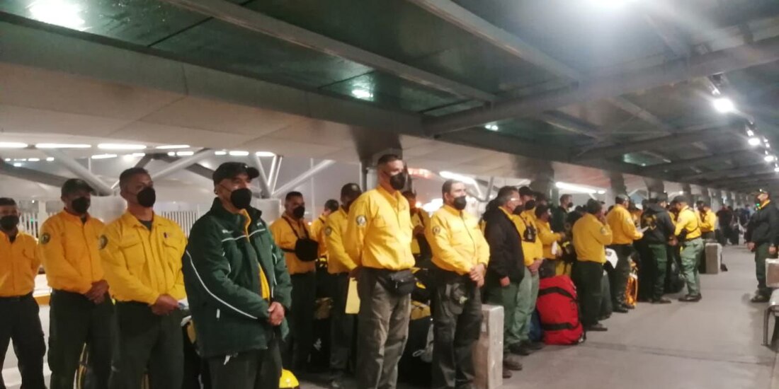 Combatientes mexicanos de incendios forestales, listos para su vuelo a Canada.