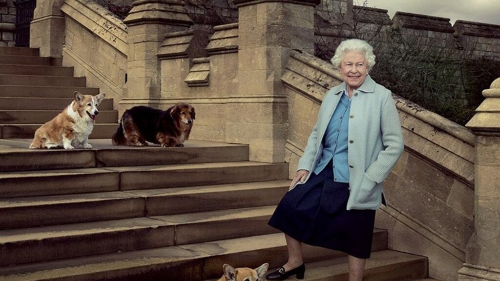 Con su amor por los corgis, Isabel II dio a conocer al mundo a esta raza originaria de Gales y una de las más antiguas de la Gran Bretaña. Estos especímenes se han caracterizado durante siglos por ser perros pastores.