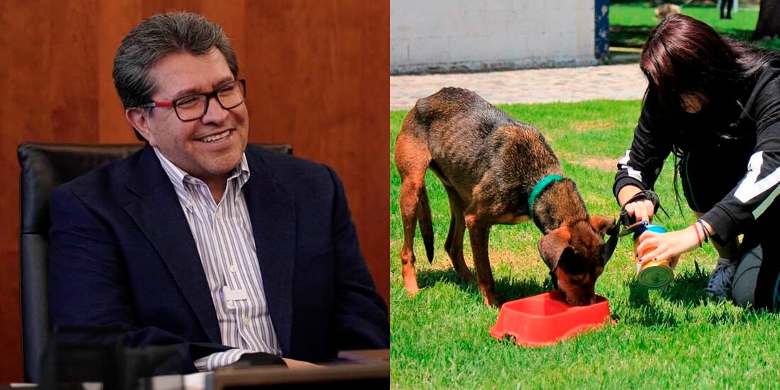 Ricardo Monreal también impulso la reforma aprobada el pasado 2 de septiembre donde se prohibió el uso de animales en pruebas para productos y artículos cosméticos.