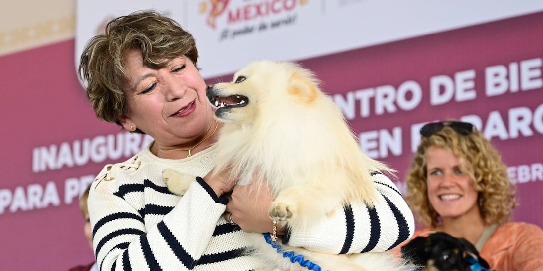 El Gobierno del Estado de México, encabezado por Delfina Gómez, integra a la ciudadanía mediante el Consejo Ciudadano de Protección y Bienestar Animal.