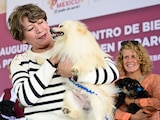 El Gobierno del Estado de México, encabezado por Delfina Gómez, integra a la ciudadanía mediante el Consejo Ciudadano de Protección y Bienestar Animal.