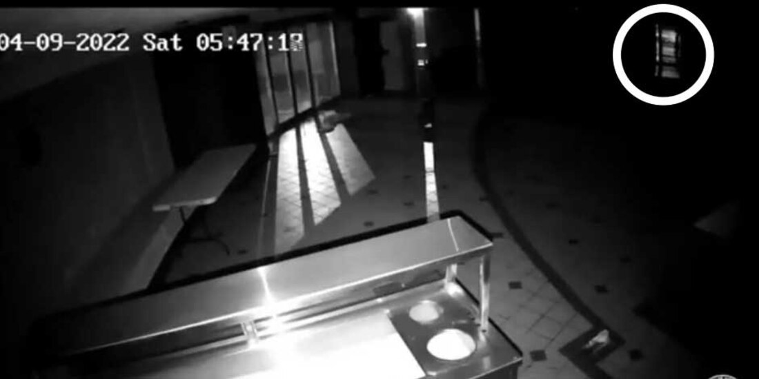 Nadie revisó cisternas donde estaba Debanhi