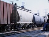 Ferrosur, subsidiaria de Grupo México Transportes.
