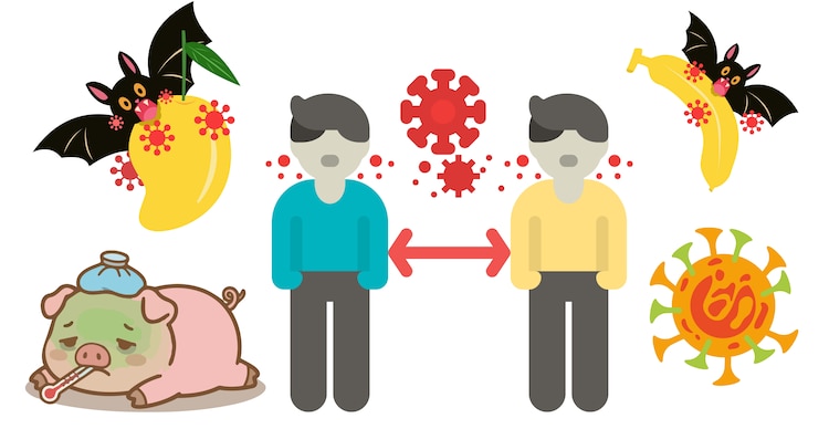 ¿Cómo se transmite en humanos el virus Nipah?