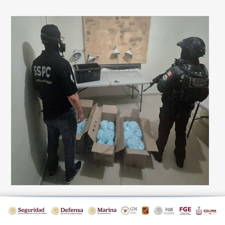 Aseguramiento de 14 millones de dosis de fentanilo en Colima.