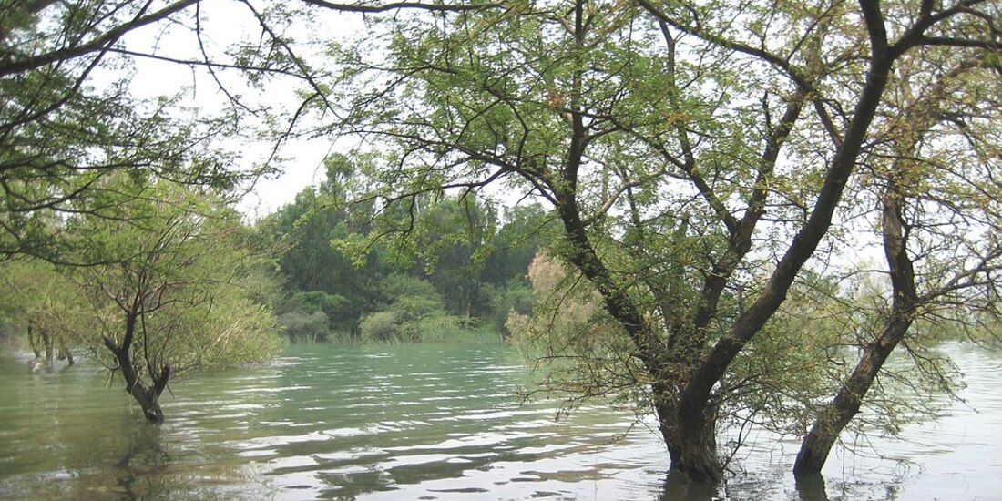 Lago Tanda Dam, en Pakistán, donde ocurrió el accidente.