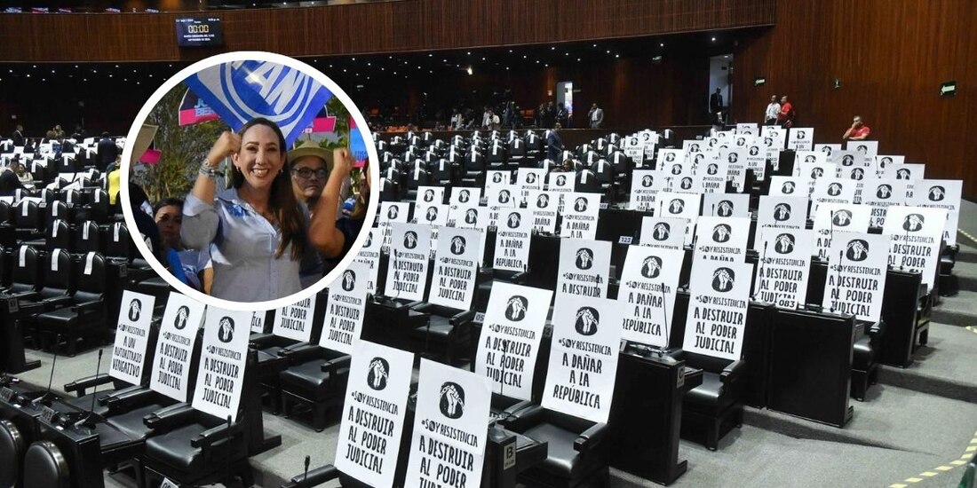 De esta forma se podría detener la reforma judicial en México, según Noemí Luna.