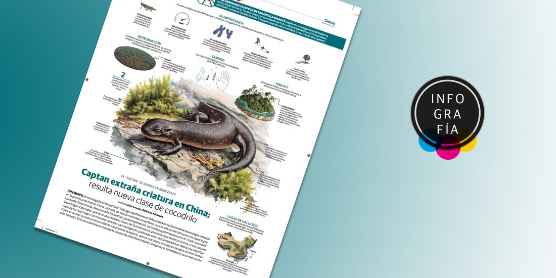 Tylototriton gaowangjienensis