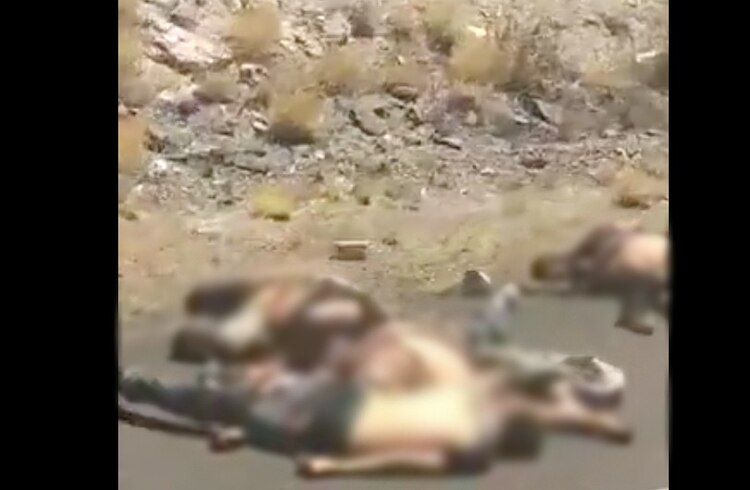 Encuentran 10 cuerpos en Caborca, presentaban signos de tortura.