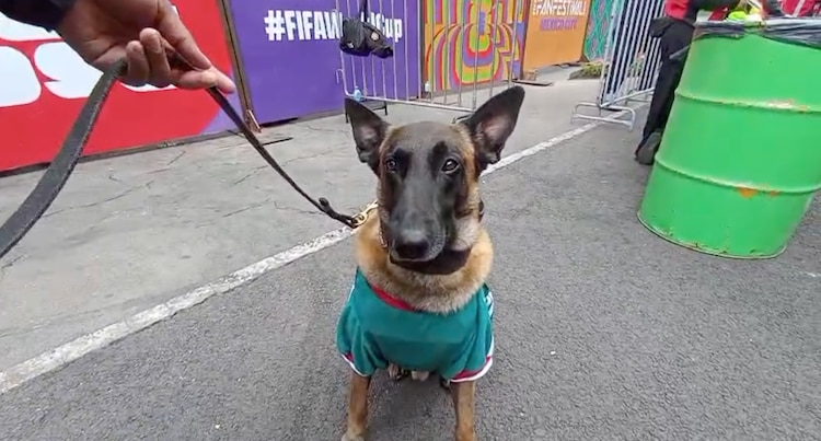 Randy, el guardian del Fan Fest del Zócalo por el Mundial 2026