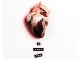 Corazón Partío