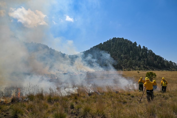 Brigadistas mexiquenses realizan quemas controladas para prevenir incendios forestales de gran magnitud.