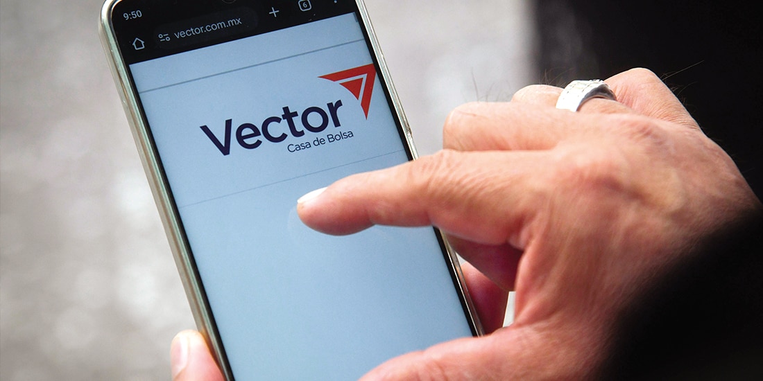 Una persona mira la página web de Vector desde su celular, en julio.