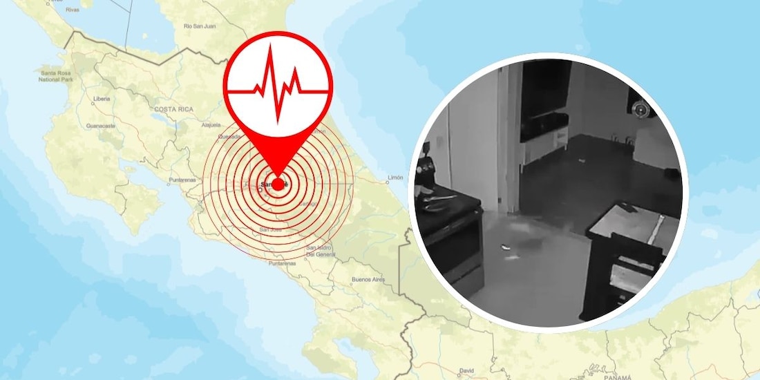 Temblor en Colombia despierta a la población durante la madrugada; en la foto, gatitos corren espantados.