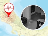 Temblor en Colombia despierta a la población durante la madrugada; en la foto, gatitos corren espantados.