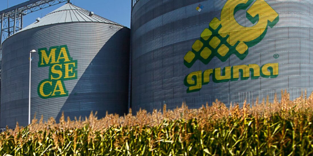 Gruma invierte 1,500 mdp en Yucatán.