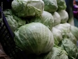 Taylor Farms de México sacó del mercado estadounidense toda la lechuga iceberg.