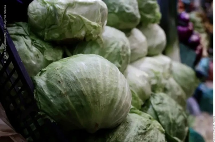 Taylor Farms de México sacó del mercado estadounidense toda la lechuga iceberg.