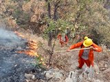 Incendios forestales en México aumentan 3% en 24 horas
