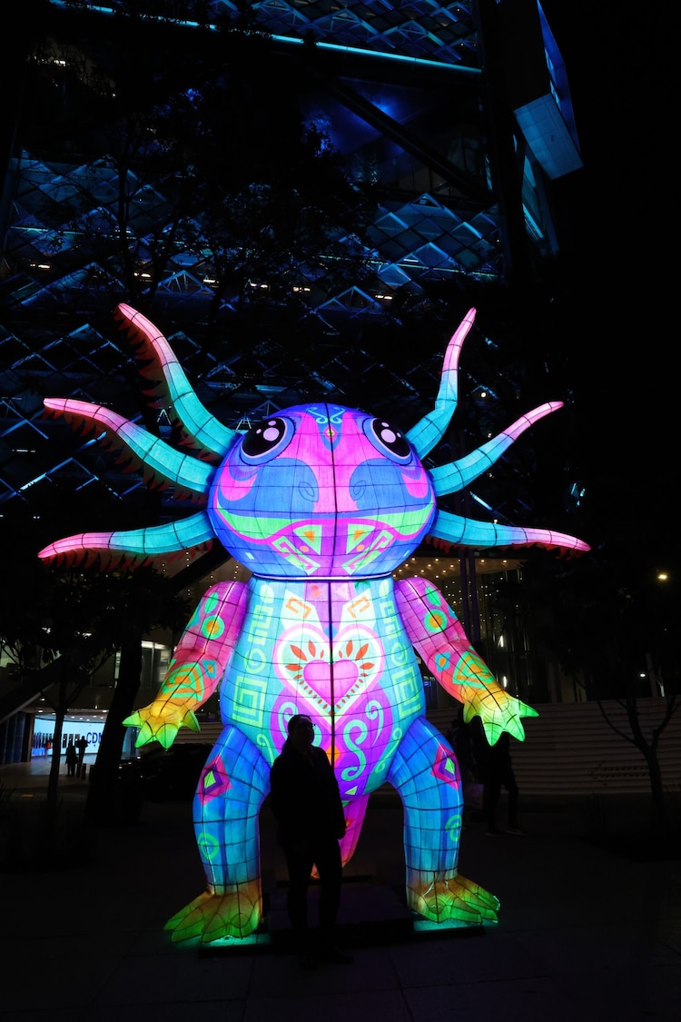 Ciudad de México ofrece un espectáculo de luz, color y cultura con la exposición "Solo la Luz