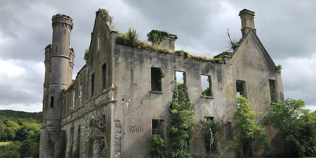 Eliane Zimmermann, 2020