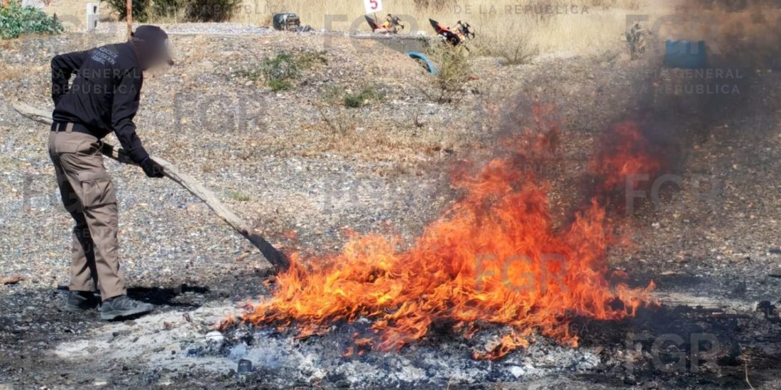 FGR destruye diversos de delito en Aguascalientes.