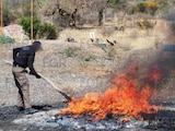 FGR destruye diversos de delito en Aguascalientes.