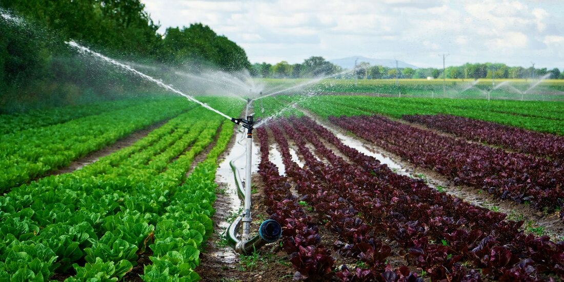 La digitalización es clave para modernizar el agro.