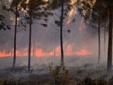 Incendio forestal de gran magnitud y sin control afecta zona oriente de Cuba