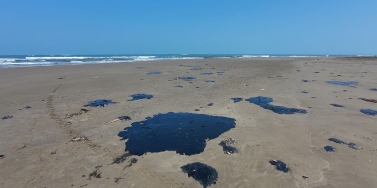 Presidenta asegura que se investiga posible negligencia por derrame en el Golfo.