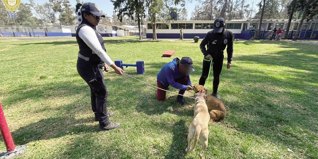 Personal del Refugio Franciscano, A.C., convive con un perro, ayer.