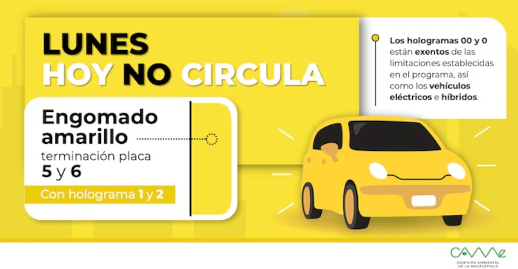 Estos vehículos deberán descansar este lunes 24 de noviembre por al Hoy No Circula.