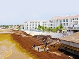 LABORES de retiro de sargazo en Playa del Carmen, en junio pasado.