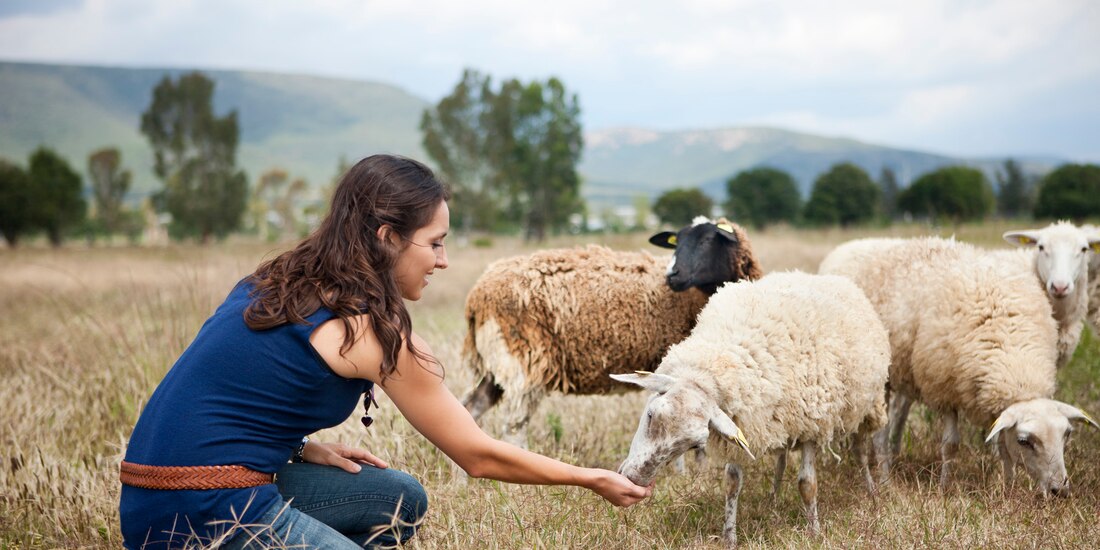 Santa Marina ( Rancho y Quesos)