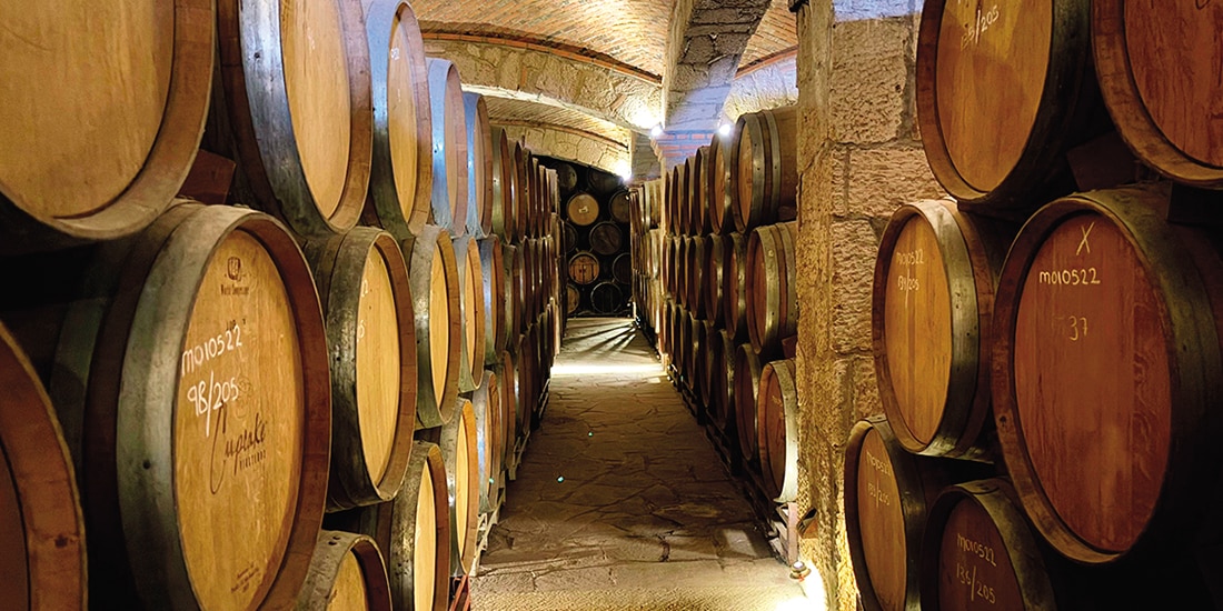Visitarás los antiguos hornos y barricas de añejamiento.