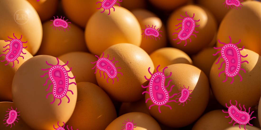 Alerta por huevos con salmonella
