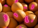 Alerta por huevos con salmonella