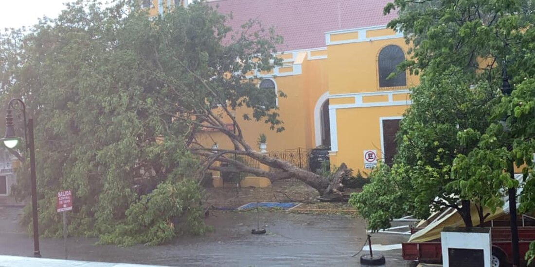 Los vientos derribaron un árbol afuera de una iglesia