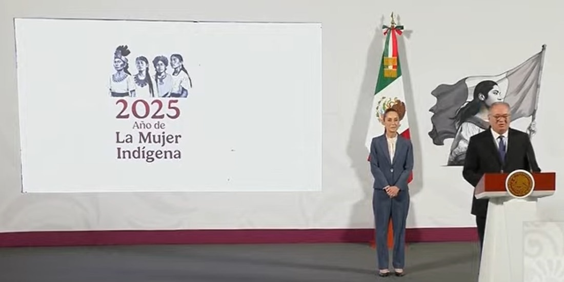 Pablo Moreno Cadena, director general de Asuntos Corporativos de Mabe, hizo el anuncio en la Mañanera del Pueblo.