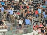 Aficionados gritan "CU, CU, Pumas" en el Abierto Mexicano de Tenis 2024