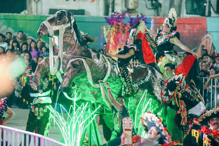 El Carnaval de Tamaulipas 2025 llena de música y color las calles de Altamira con comparsas, carros alegóricos y la alegría de miles de asistentes.