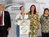 Senadores piden intervención de Ebrard en el caso de Paola Schietekat.